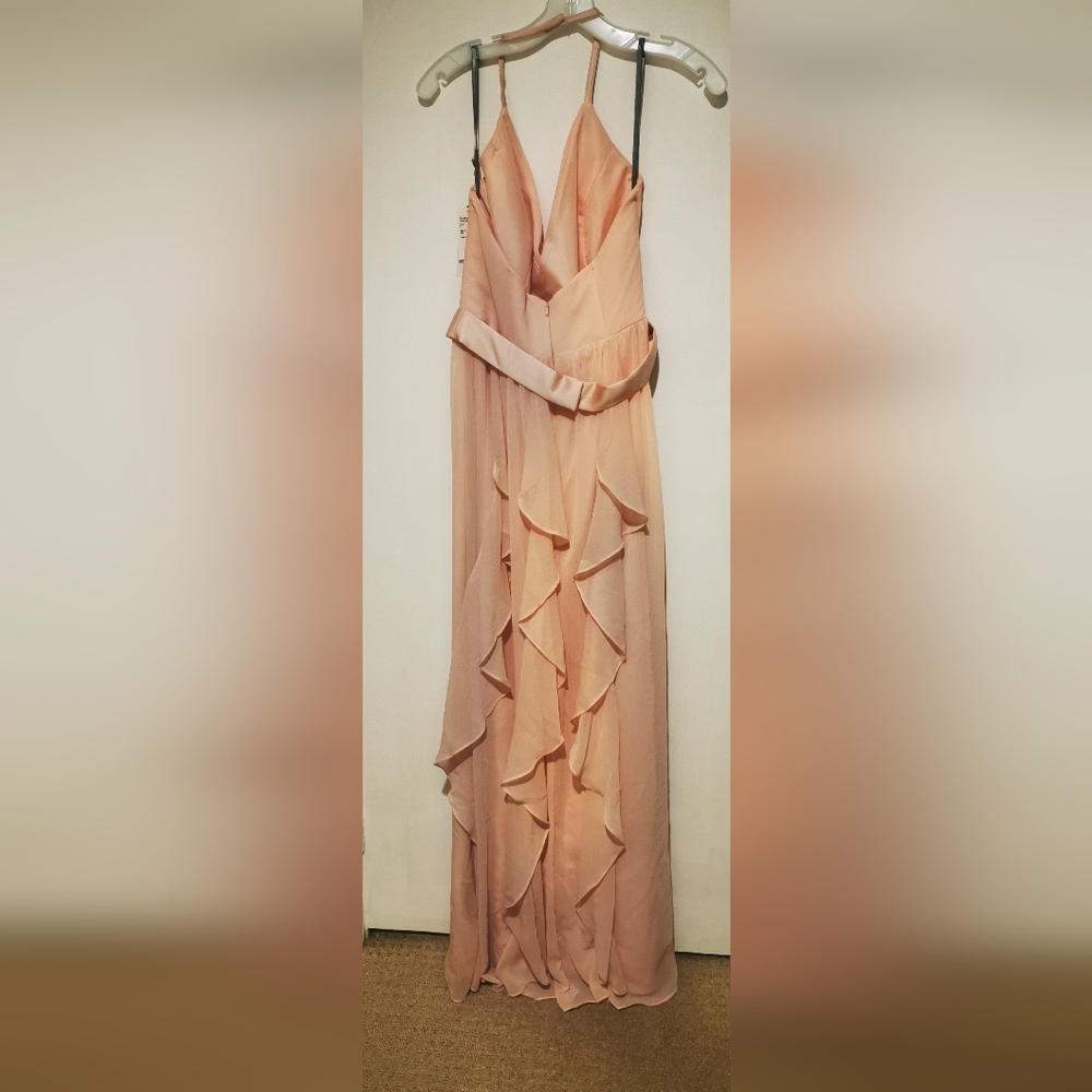 Vera Wang bodice dress with satin belt in blush